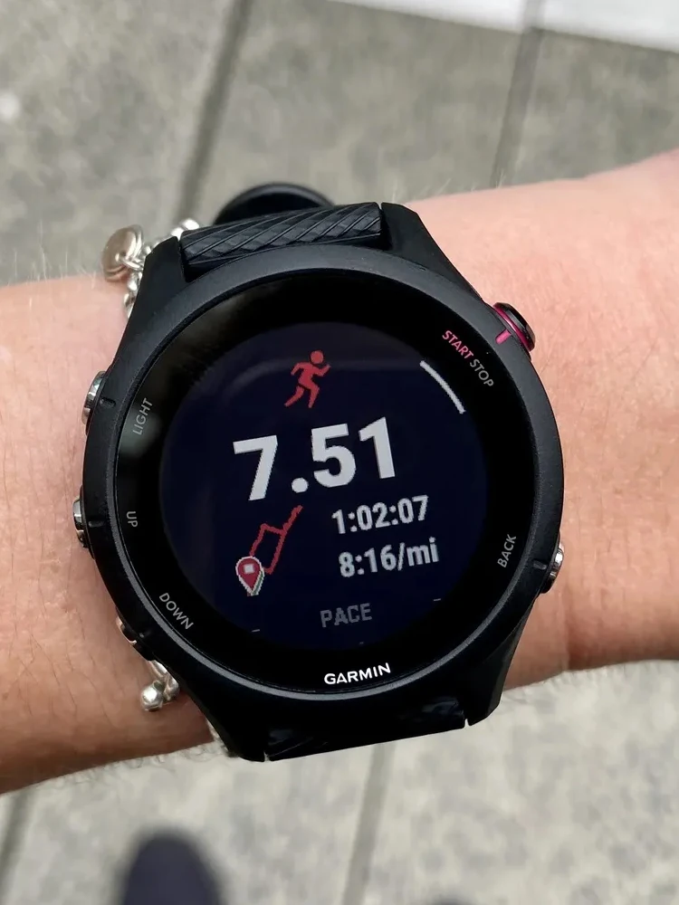 Smartwatch Garmin Forerunner 255 Slate Grey (GPS Version)