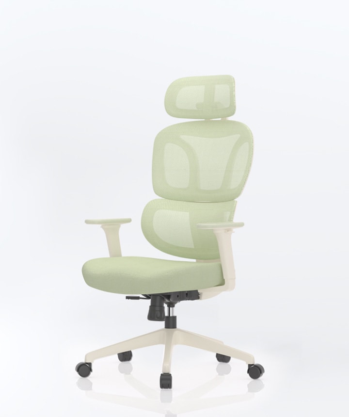 Krzesło Biurkowe Ergonomiczne BS5