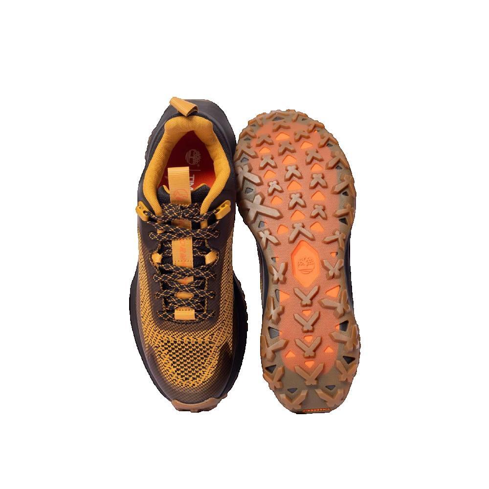Buty Mężczyzna Timberland Motion Access brązowy
