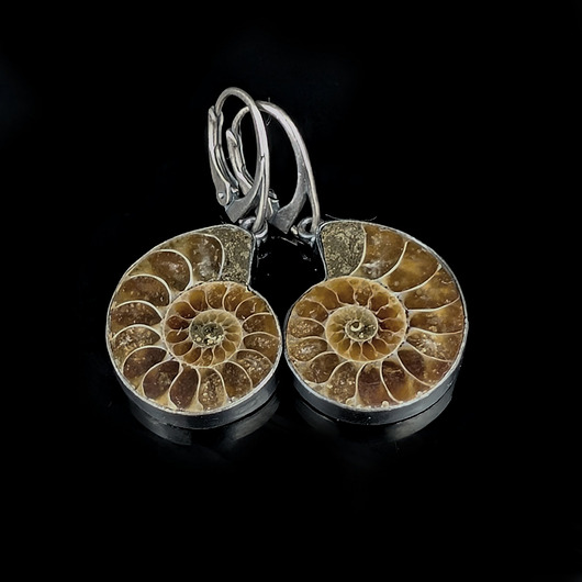 Kolczyki srebrne fossil- Pradawne amonity