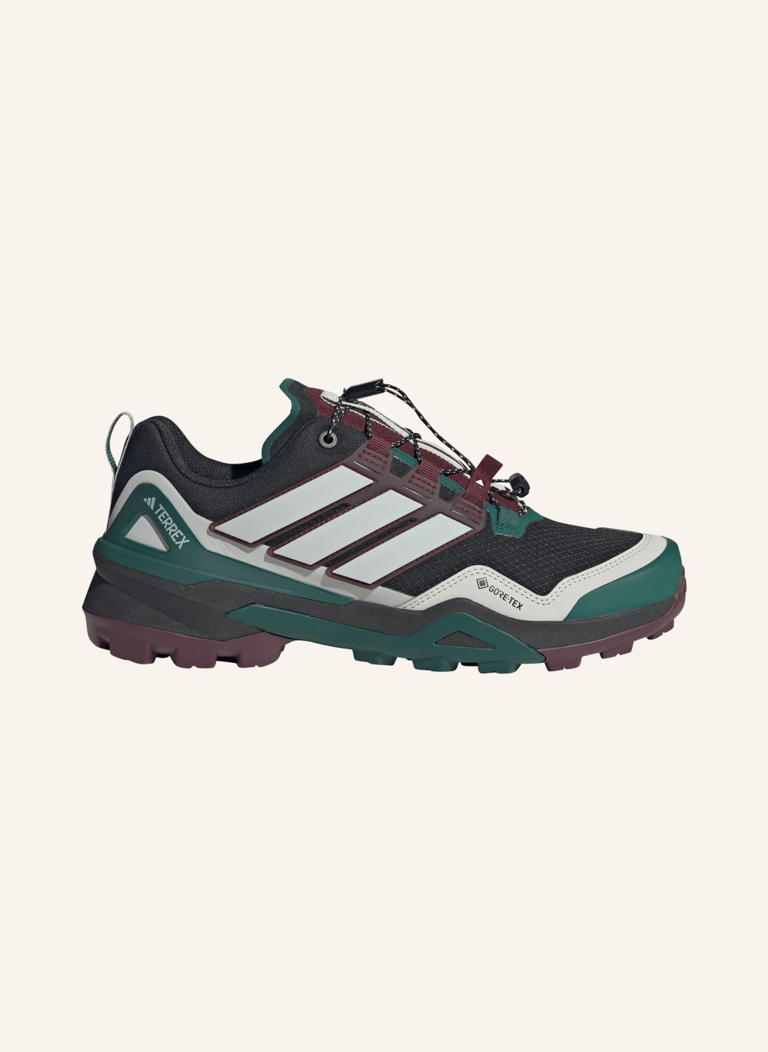 Adidas Terrex Buty Turystyczne Terrex Skychaser Gtx schwarz
