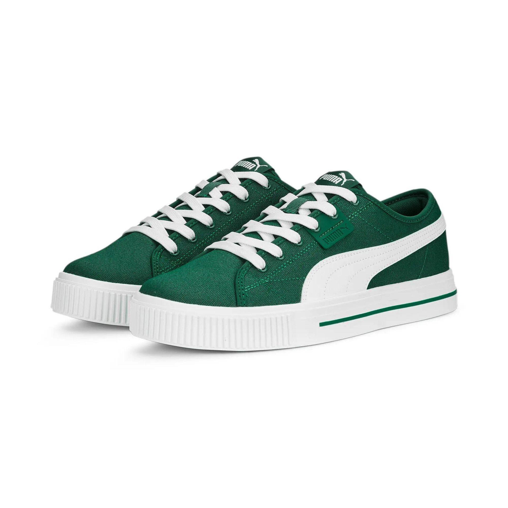 Buty sportowe męskie Puma EVER FS CV 38639304