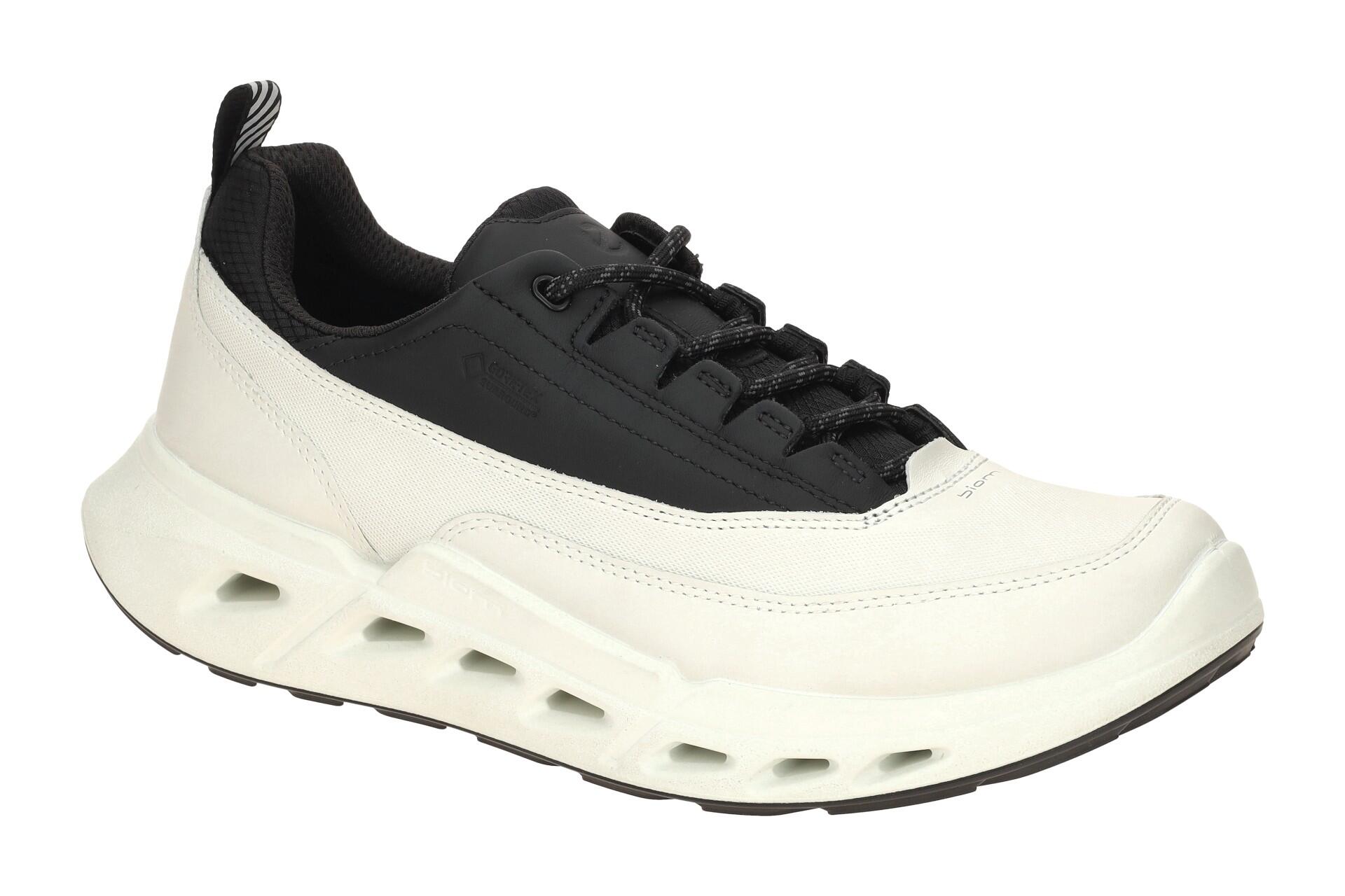 Baskets Ecco Biom 720 Low GTXS Lea