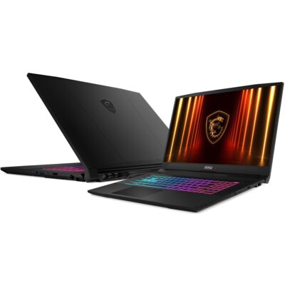 MSI Katana 17 HX B14WFK-299PL 17.3
