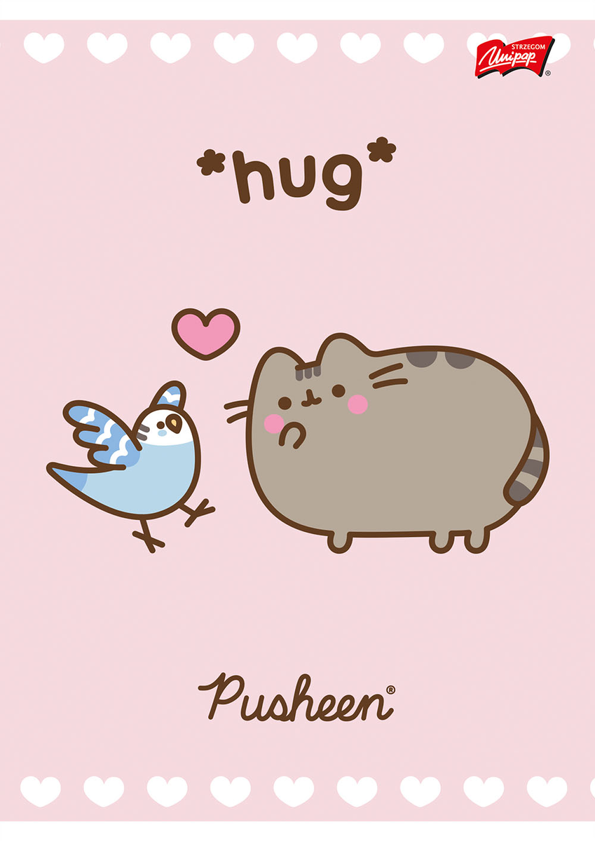 Pusheen The Cat Zeszyt A5 32 kartki linia kot