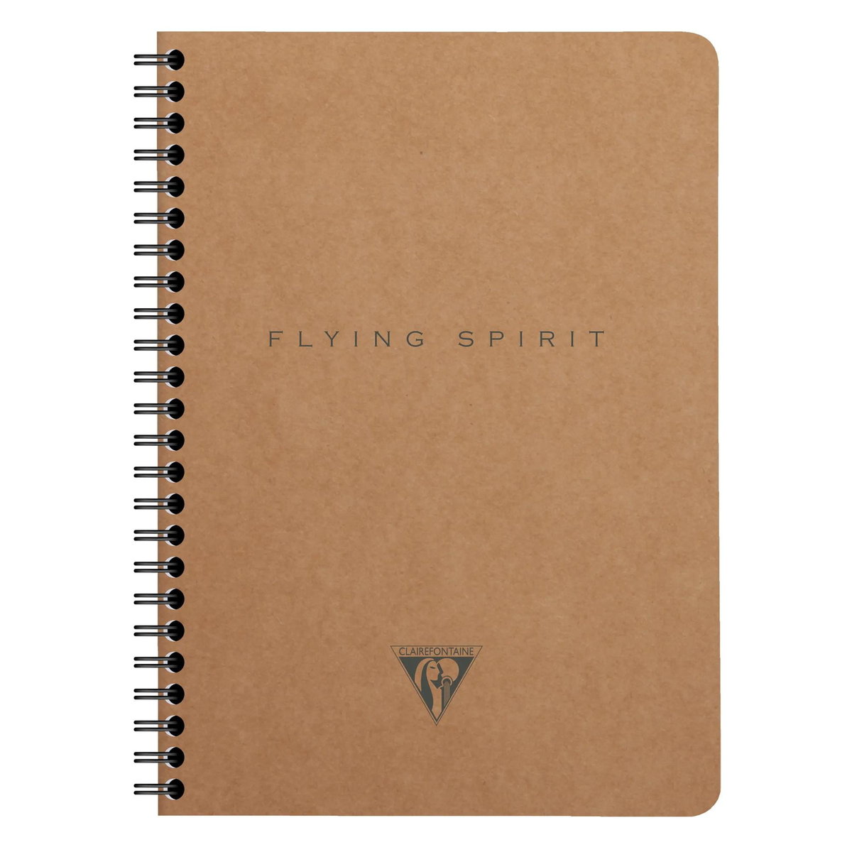 Notatnik Clairefontaine Flying Spirit A5, linie, brązowy