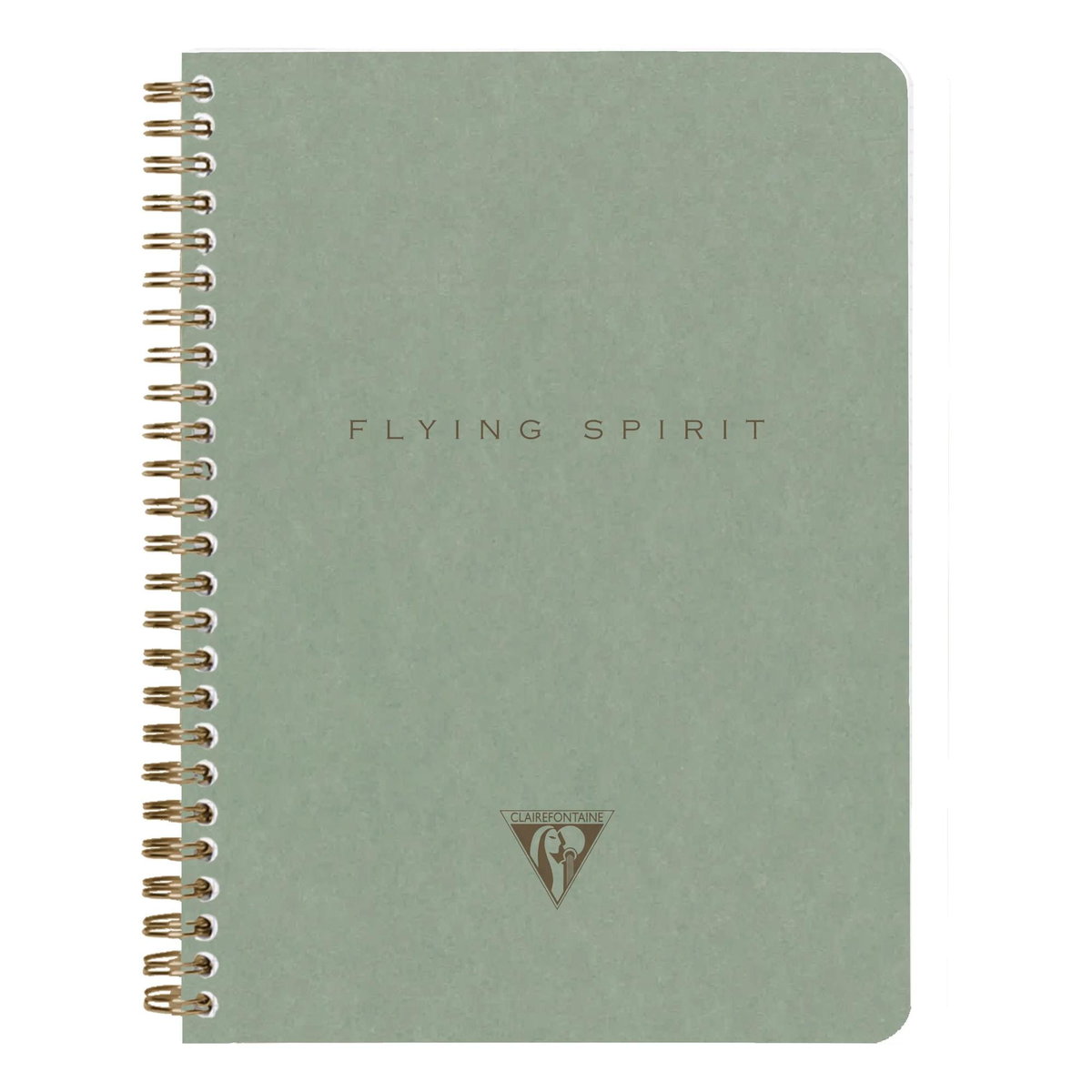 Notatnik Clairefontaine Flying Spirit A5, linie, zielony
