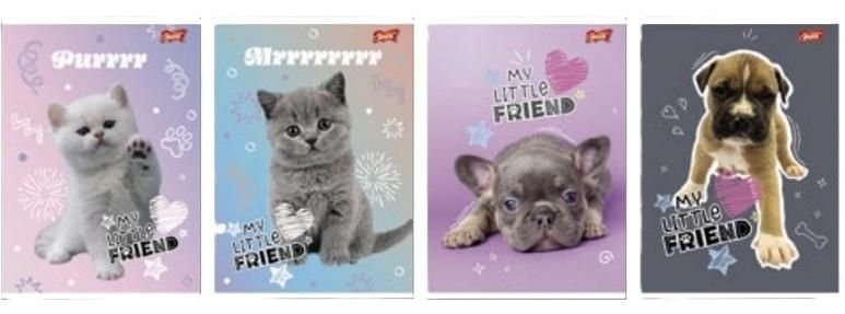 ZESZYT A5 32 kartki KRATKA MY LITTLE FRIEND ST.MAJEWSKI mix