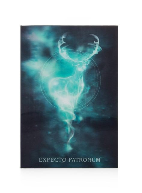 Notes A5 z okładką 3D Harry Potter Expecto Patronum notatnik 96 k w linie