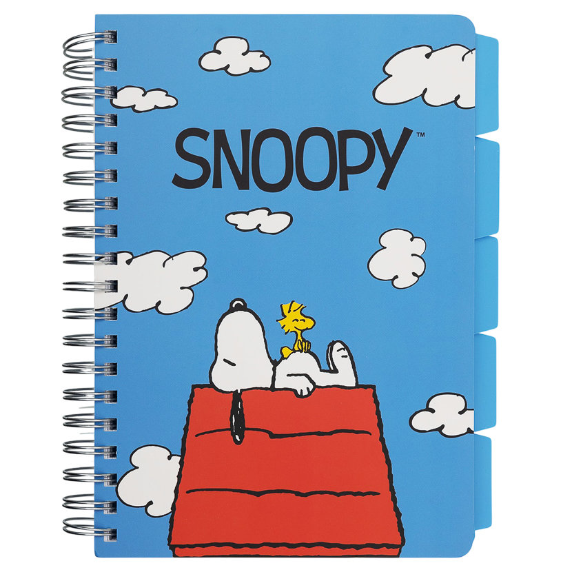 Kołozeszyt, Snoopy, B5, 120 stron