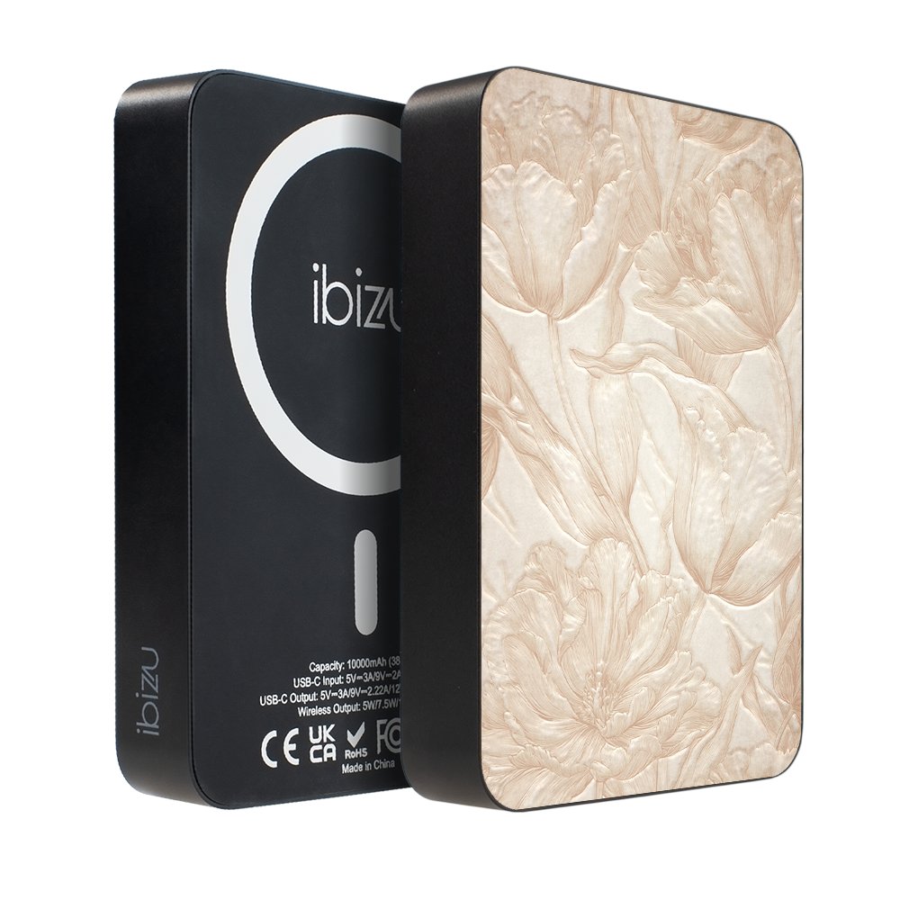 Powerbank IBIZU MagPower 10 000 mAh, gwiezdna czerń, magnetyczny, aluminiowy, Botaniczny biskwit