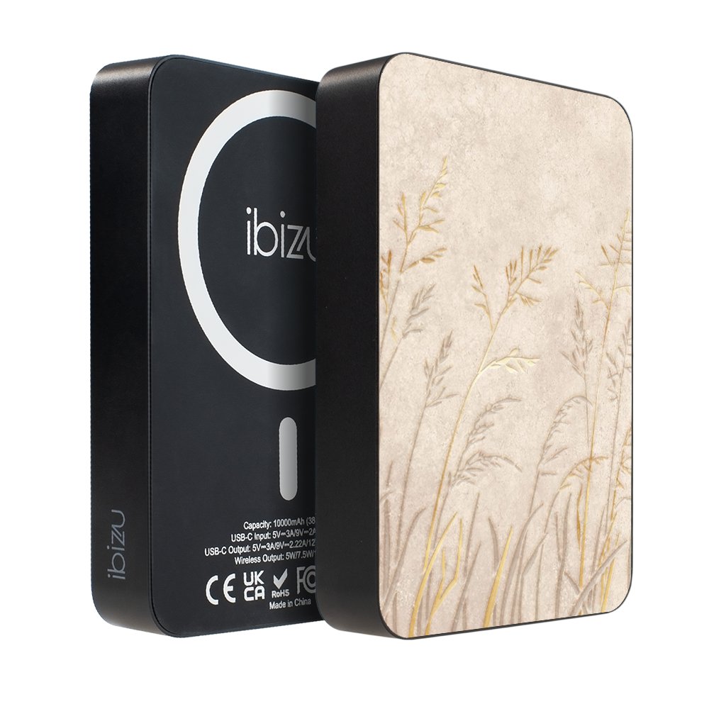 Powerbank IBIZU MagPower 10 000 mAh, gwiezdna czerń, magnetyczny, aluminiowy, Kłosy z piaskowca
