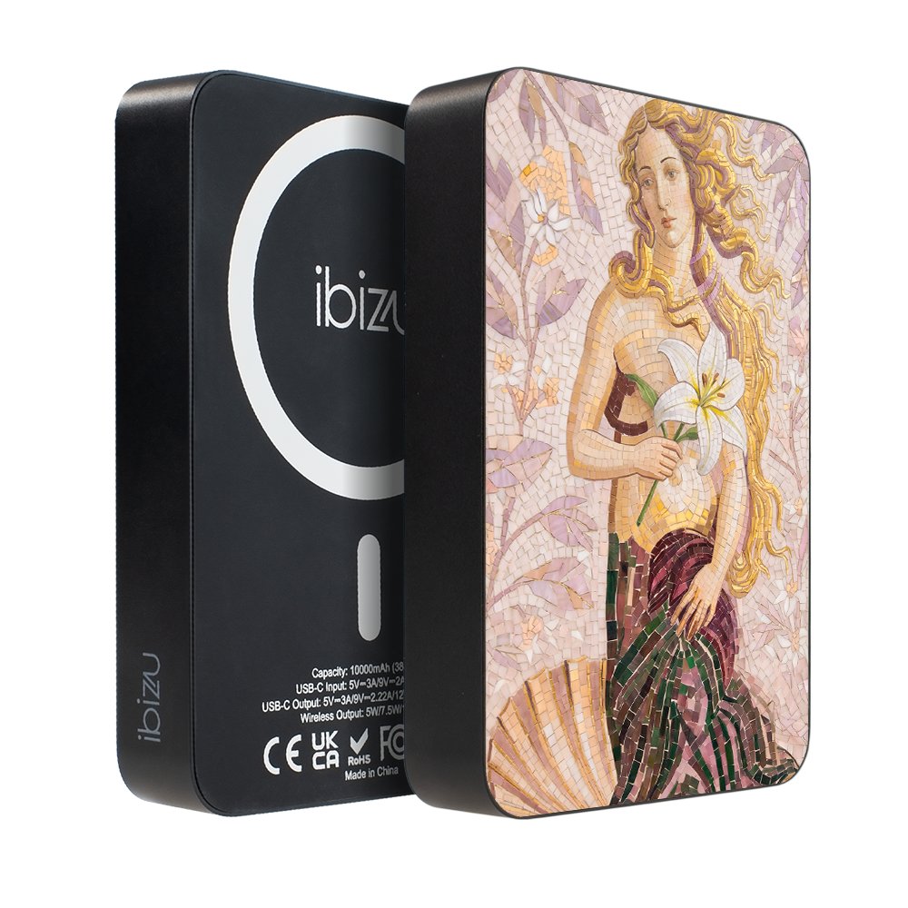 Powerbank IBIZU MagPower 10 000 mAh, gwiezdna czerń, magnetyczny, aluminiowy, Narodziny Wenus