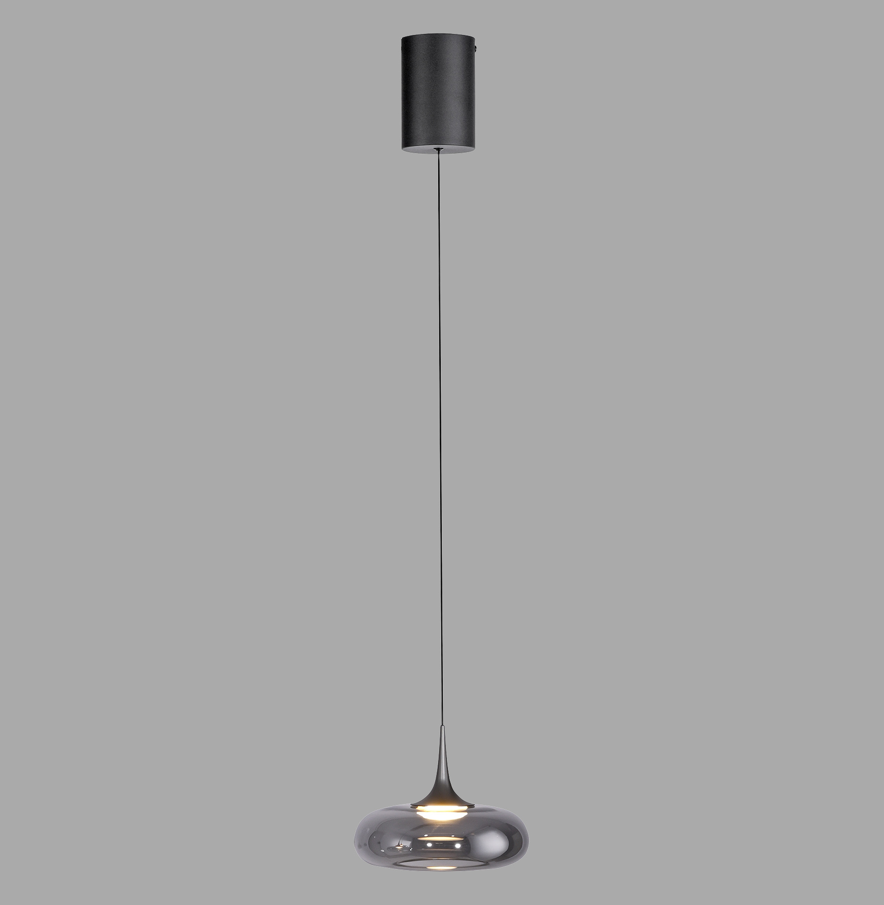 Paul Neuhaus Posh Lampa Wisząca Szara 15692-15
