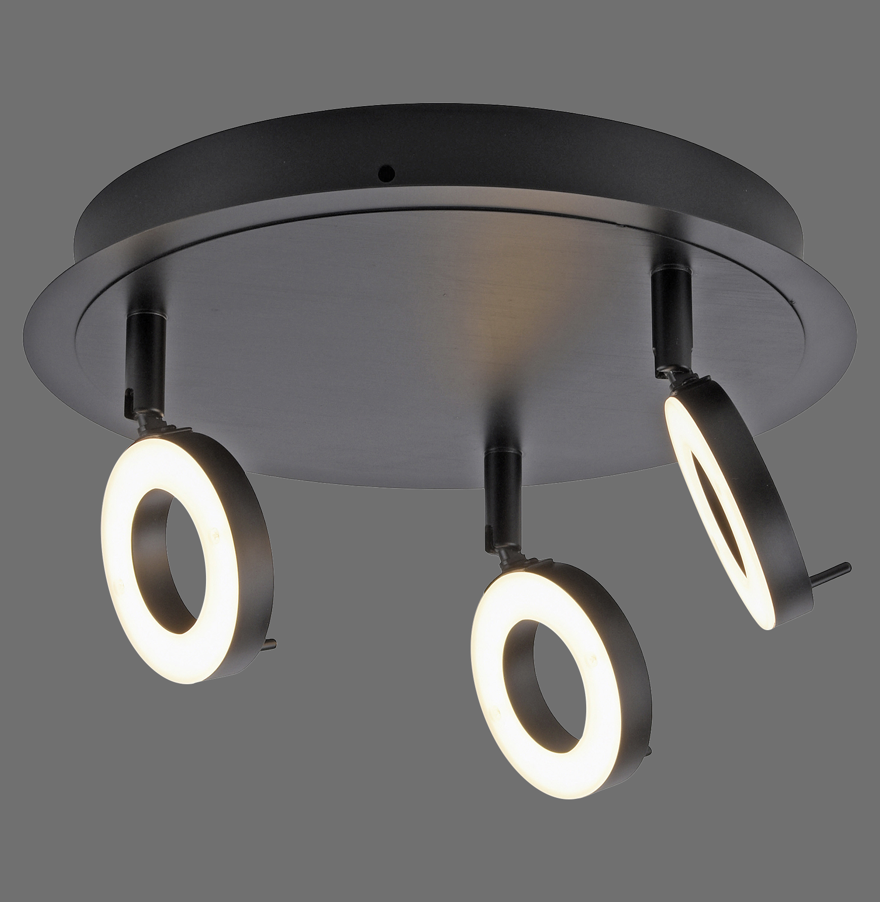 Paul Neuhaus Sileda Lampa Sufitowa Antracyt 6788-13