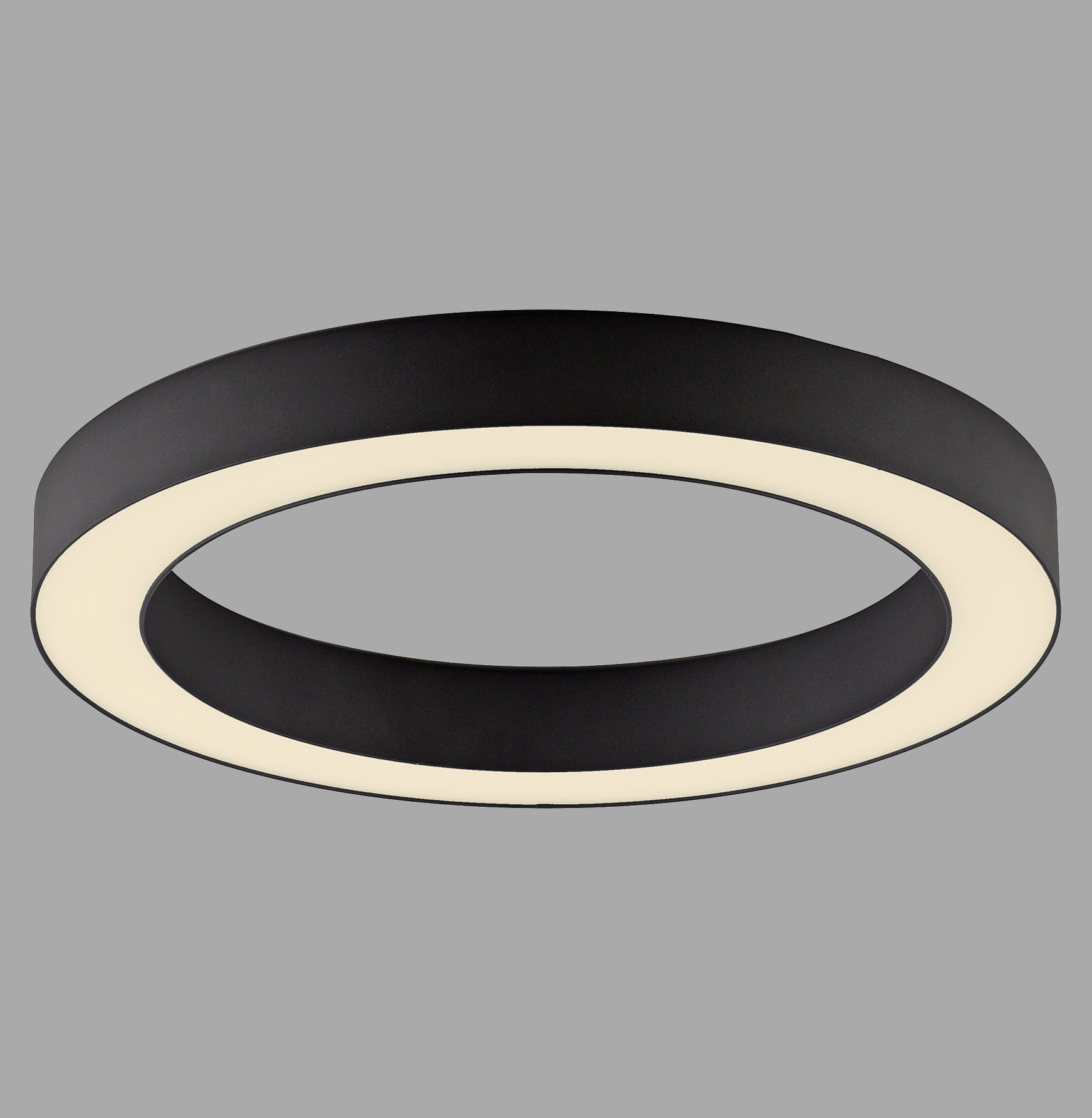 Paul Neuhaus Pure Lines Roud Lampa Sufitowa Grafitowa 6310-13
