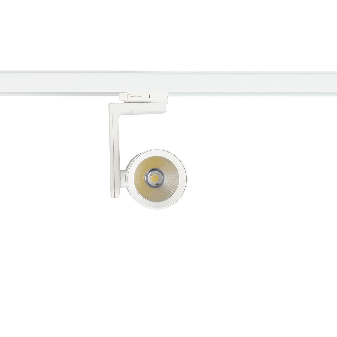 Milagro Reflektor Timor 30W 2700/4000K Biały 3 Obwodowy ML1116