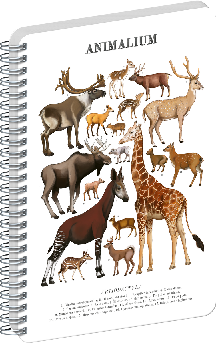 Notatnik spiralny Animalium – zwierzęta parzystokopytne, bez linii, format A5