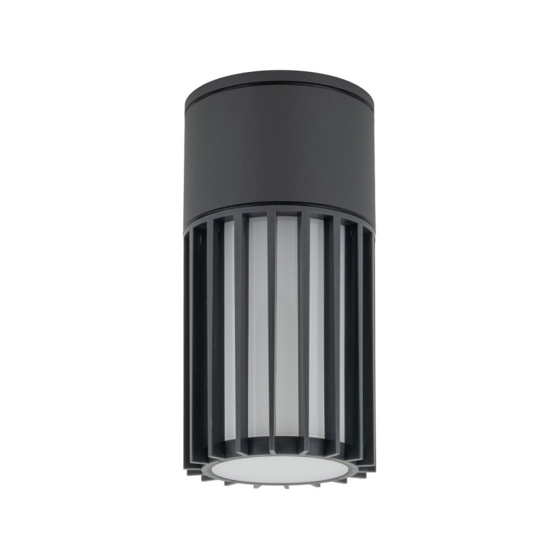 TK Lighting Lampa sufitowa zewnętrzna RIBO szara 1xE27 IP54