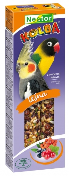 Nestor Kolba Średnia papuga Kolba owocowa 8578