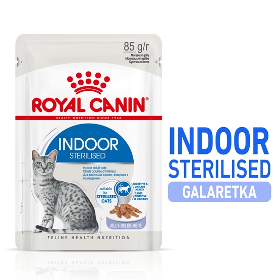 Royal Canin Indoor Sterilised w Galarecie saszetka 85g mokra karma dla dorosłych kotów sterylizowanych wszystkich ras 85g