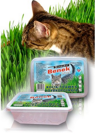 Certech Trawka szybkorosnąca dla kota 150g