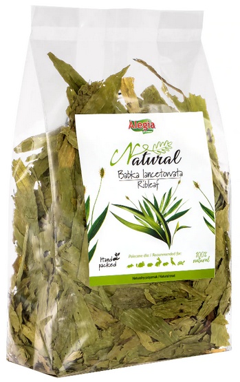 ALEGIA ALEGIA BABKA LANCETOWATA 100g
