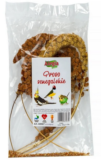 Opinie o Alegia proso Senegalskie 80g dla ptaków i gryzoni