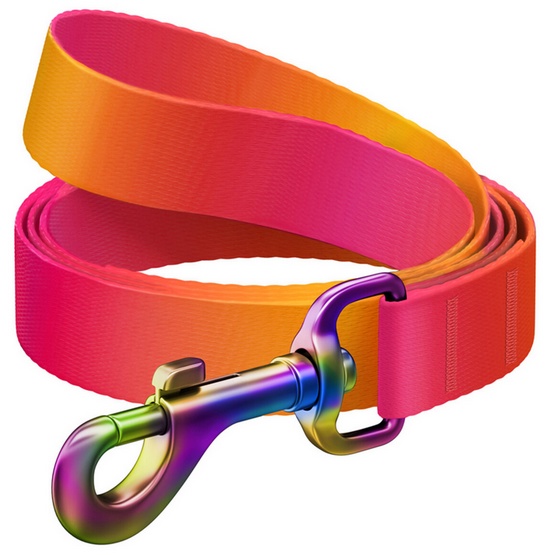 Smycz dla psa nylonowa WAUDOG gradient, dł. 122 cm, pomarańczowa Waudog