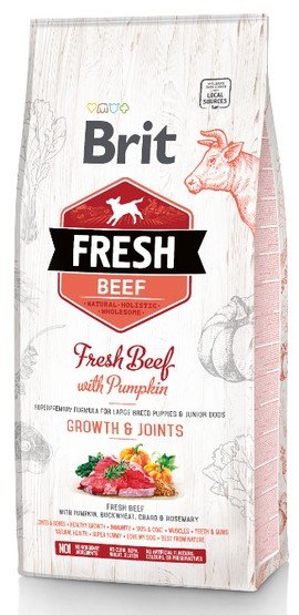 Brit Fresh Beef with Pumpkin Puppy Large 2,5 kg