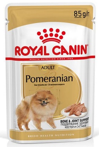 Royal Canin Pomeranian Adult 85g karma mokra pasztet dla psów dorosłych rasy szpic miniaturowy