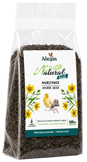 Alegia Murzynek na śpiew dla papug MURZYNEK