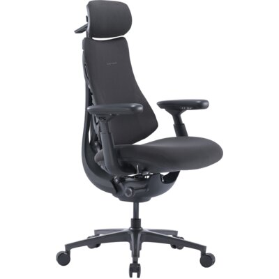 LIBERNOVO Krzesło biurowe ergonomiczne OC1-PRO Grafitowy