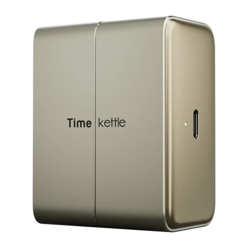 TimeKettle Słuchawki tłumaczące TWS W4 Plus (złote)