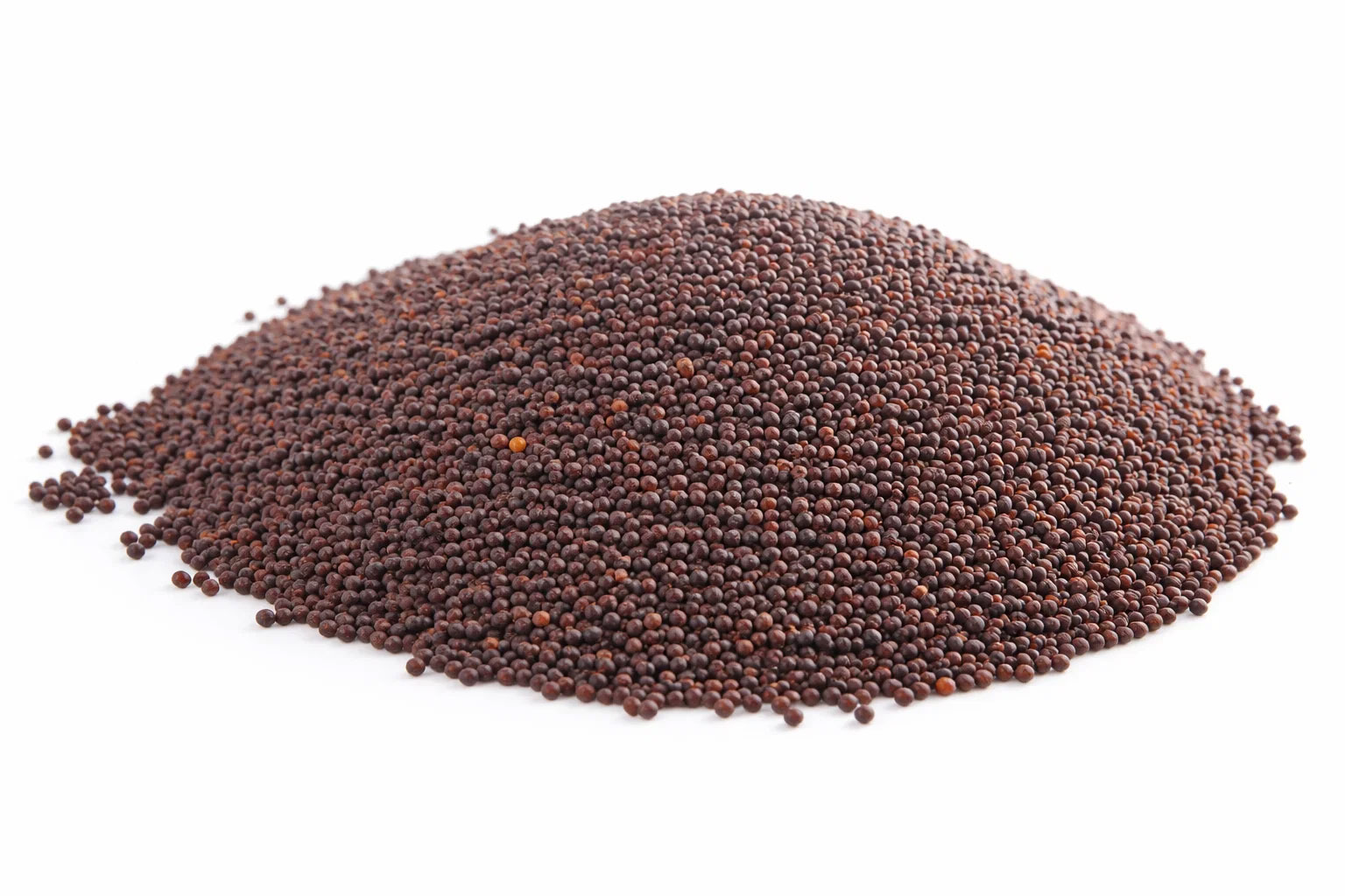 Gorczyca czarna cała 200 g