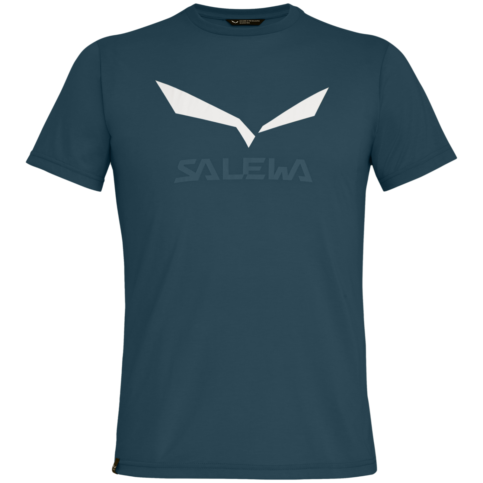 Koszulka męska Salewa Solidlogo Dri-Rel M S/S Tee Rozmiar: M / Kolor: niebieski/zielony