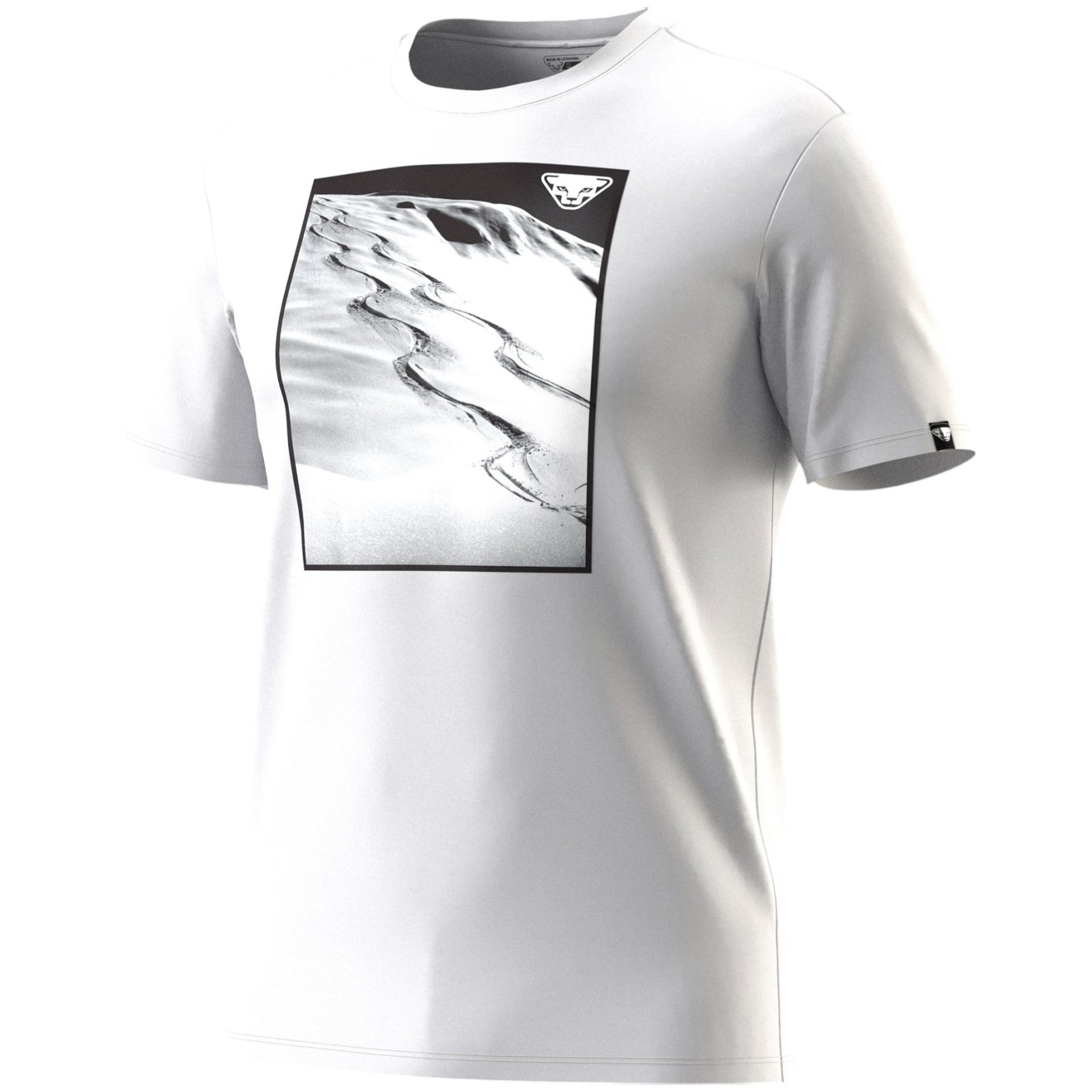 Koszulka męska Dynafit Graphic Co T-Shirt M Rozmiar: XL / Kolor: biały