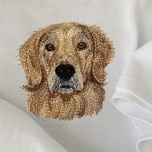 Koszulka GOLDEN RETRIEVER 100% bawełna