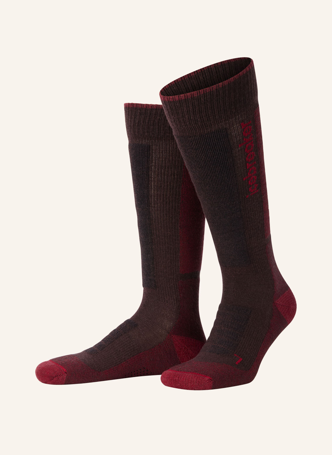 Icebreaker Skarpety Narciarskie Merino Blend Ski+ rot