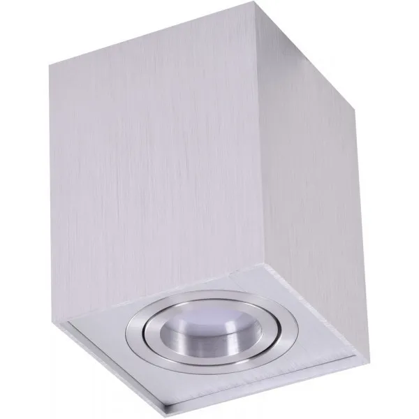 Oprawa sufitowa ELOY 1 SMART (ALUMINIUM) AZ3773 - Lampy Azzardo - Azzardo