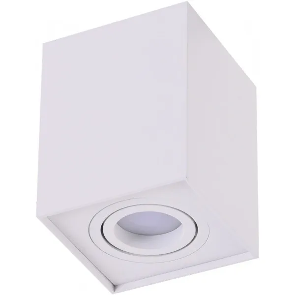 Oprawa sufitowa ELOY 1 SMART (WHITE) AZ3777 - Lampy Azzardo - Azzardo