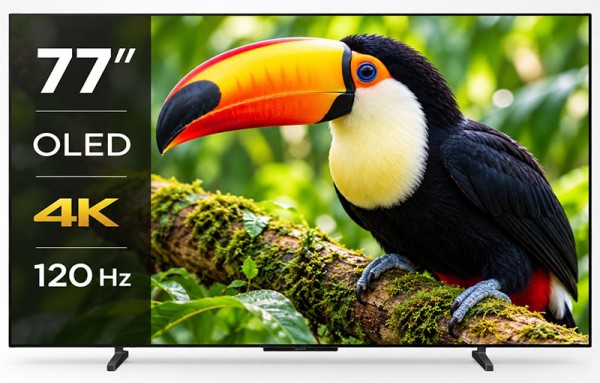Sony Bravia 6 K-77A65