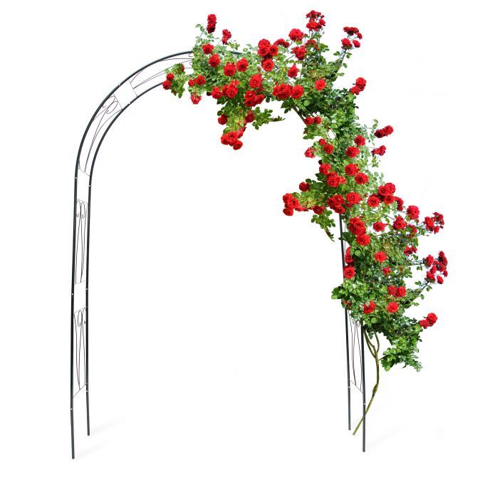 Łuk roślinny 233x153x39cm, ciemnozielony