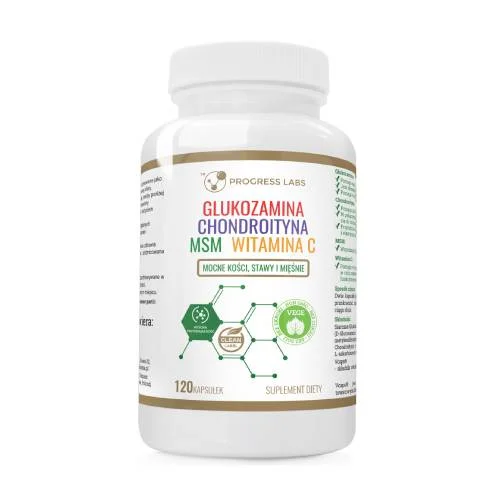 Progress Labs Glukozamina Chondroityna Siarka MSM witamina C, 120 kaps.