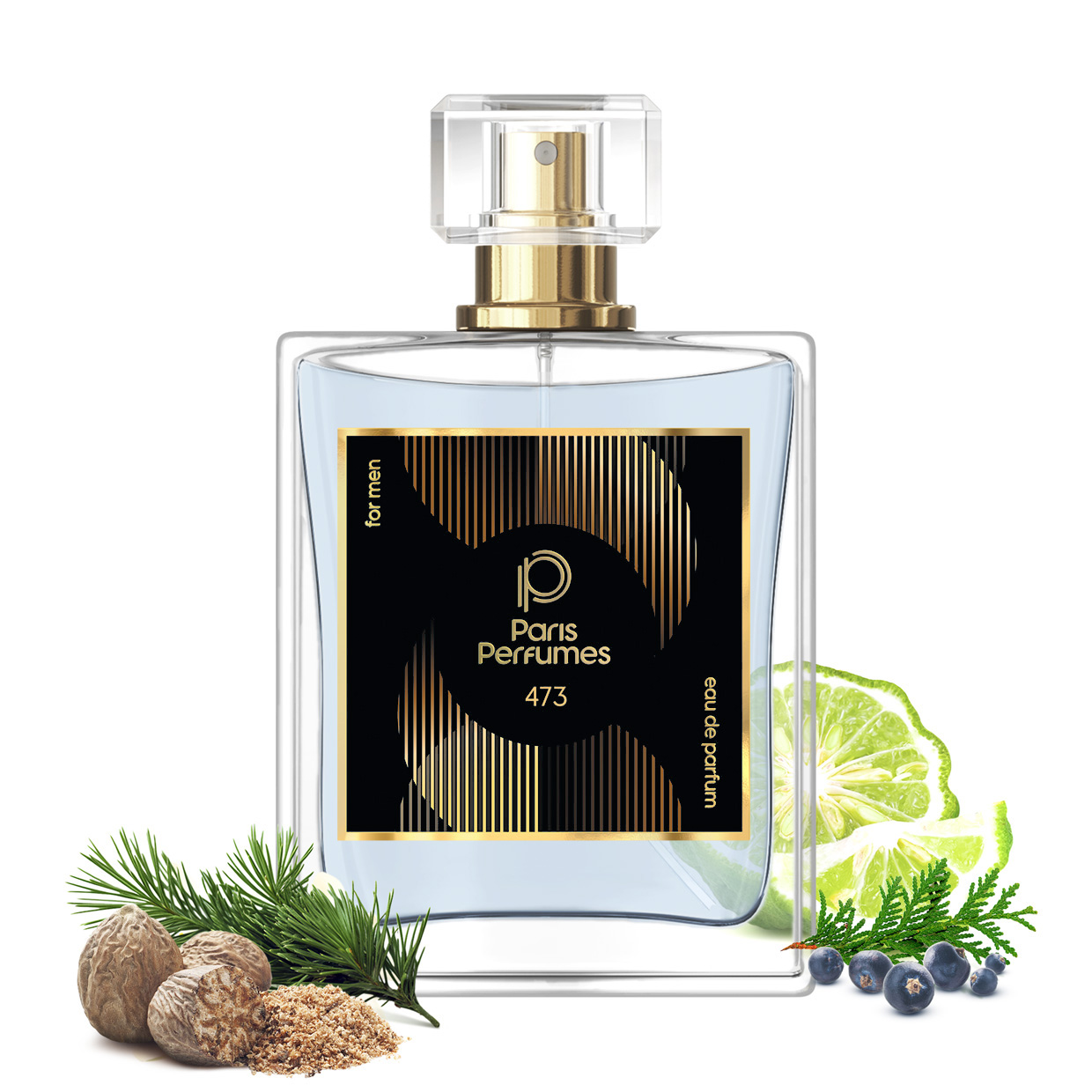 Zamiennik Pour Homme Paris Perfumes N° 473 - 104 ml