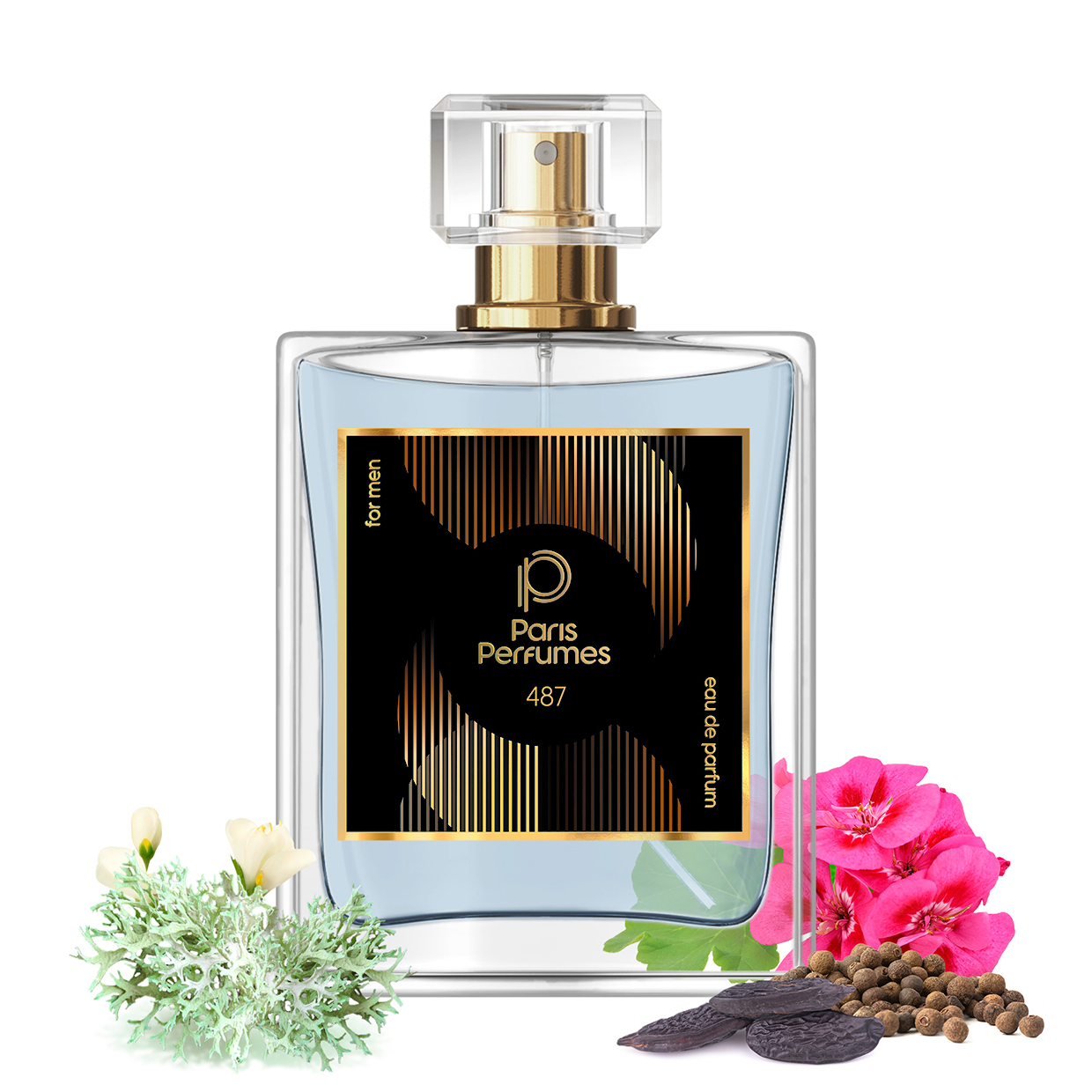 Zamiennik Eros Flame Paris Perfumes N° 487 - 104 ml