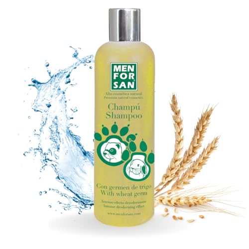 MENFORSAN 0 Szampon z kiełkami pszenicy dla fretek - 300 ml, żółty, 300 ml (1 opakowanie), 300