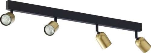TK Lighting Lampa sufitowa TK 1021 z serii TOP
