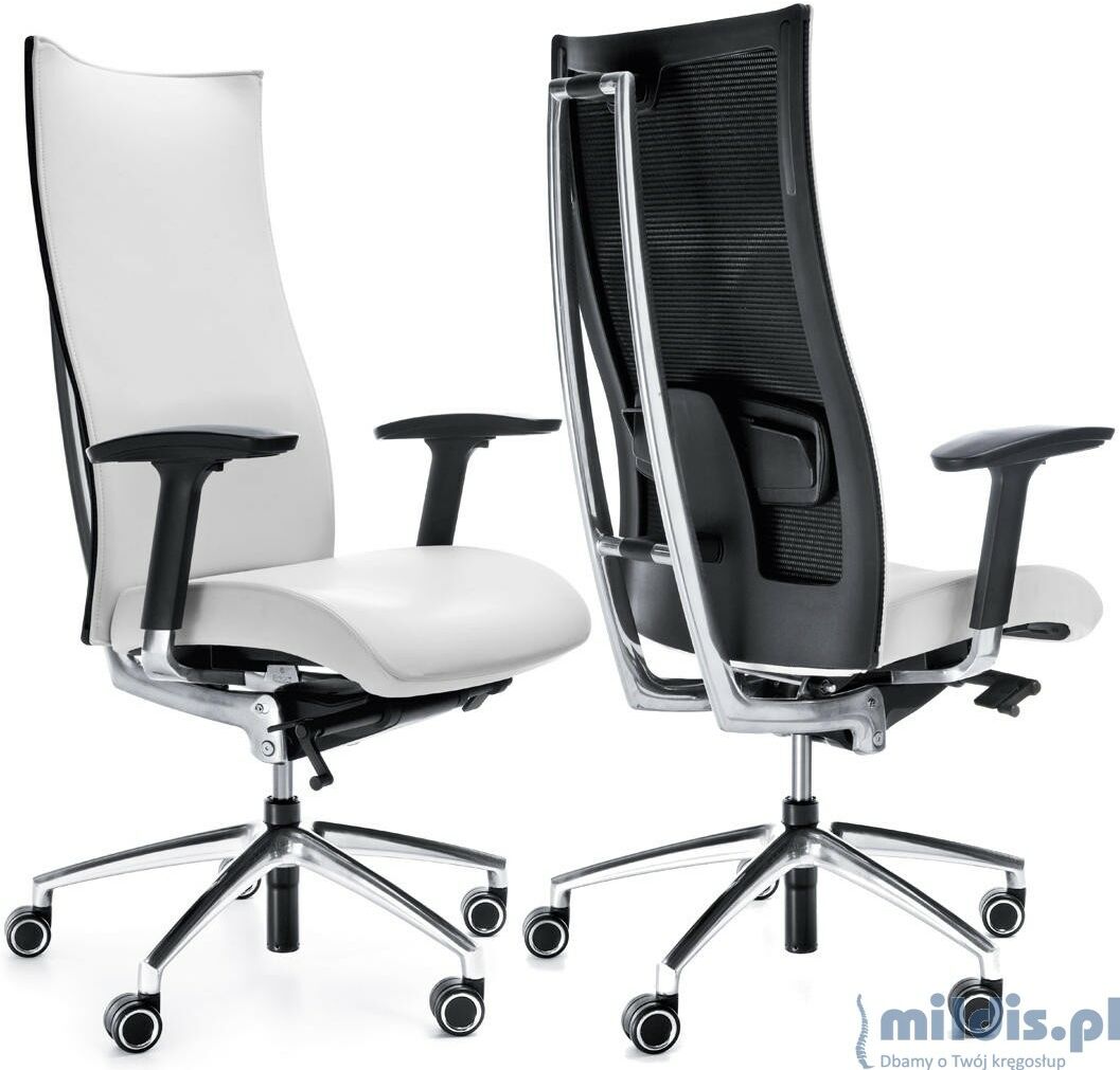 ProfiM Fotel ergonomiczny Action - A 100SFL