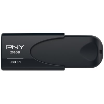 PNY FD256ATT431KK 256GB